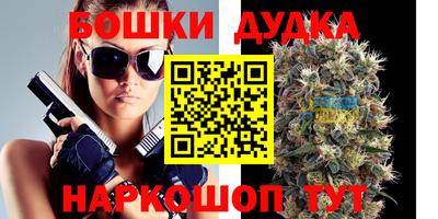 крисы Кунгур