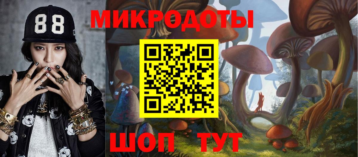 Фурманов  даркнет сайт  Галлюциногенные грибы Cubensis  Вход с VPN  Галлюциногенные грибы Psilocybe 