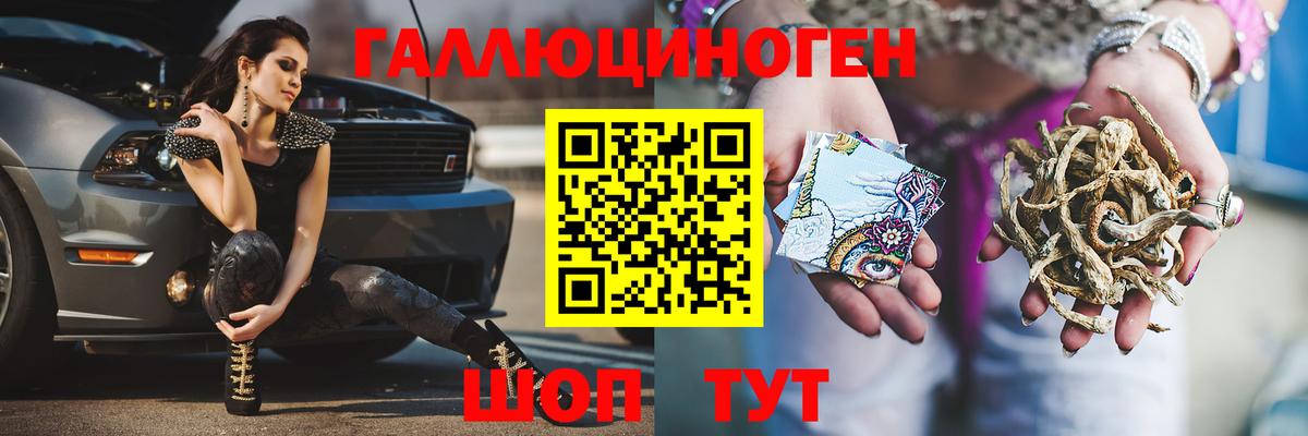 Псилоцибиновые грибы Psilocybine cubensis Фурманов